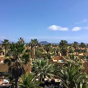 https://papagayo-9bc7b.hotelsfuerteventura.org
